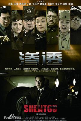 999国产精品永久免费视频海报剧照