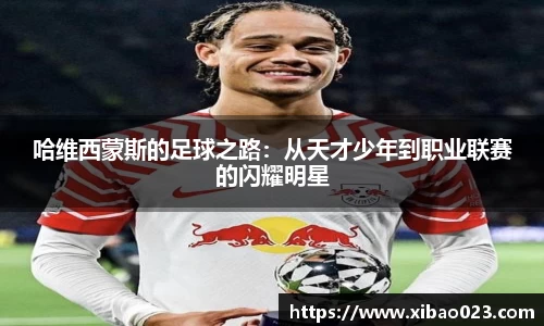 xk星空体育