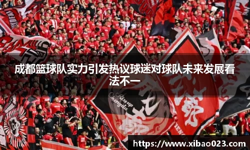 成都篮球队实力引发热议球迷对球队未来发展看法不一